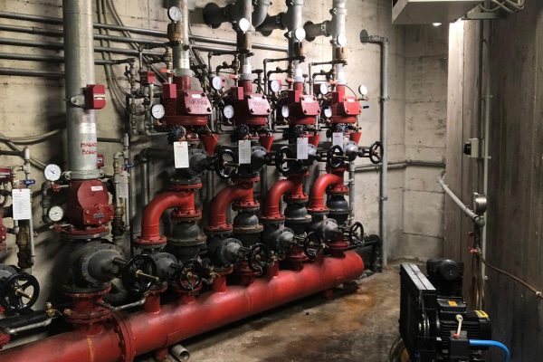 PHOTO-2026-01-22-10-24-30(10)